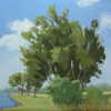 Tree Study #3